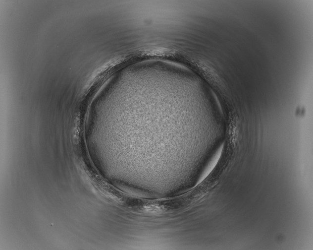 X0000111120591200907211052