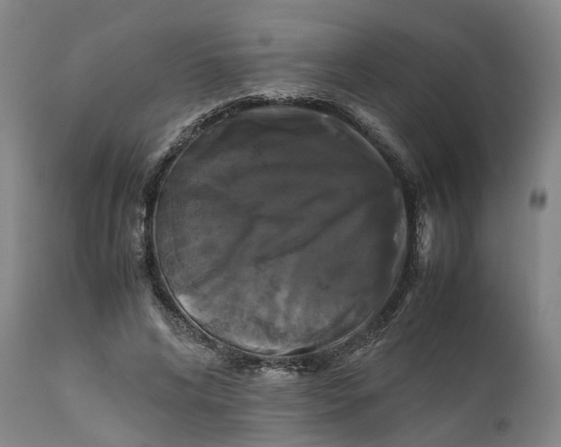 X0000111120592200907211052