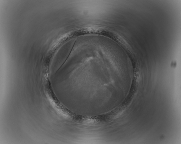 X0000111120593200907211052
