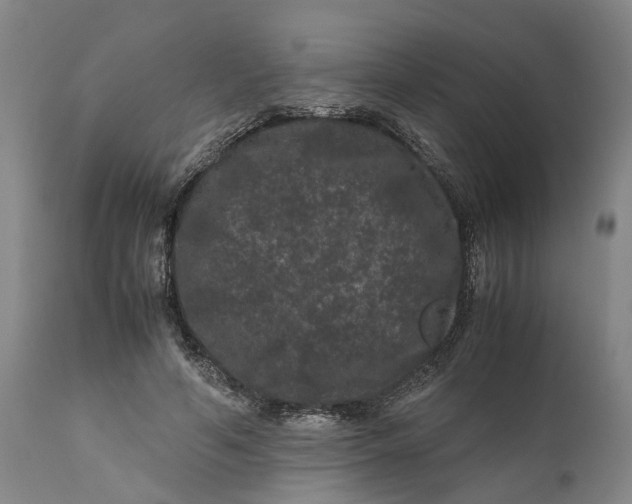 X0000111120594200907211052
