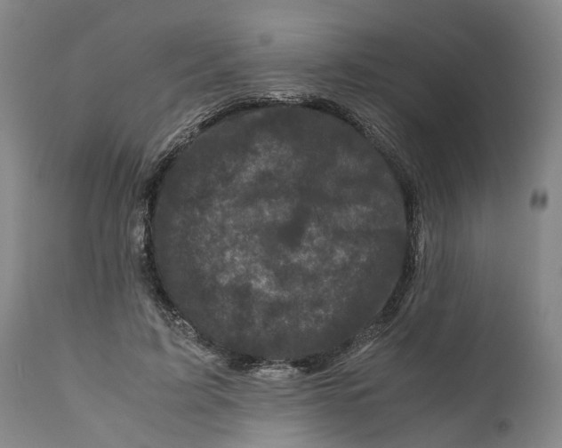 X0000111120595200907211052