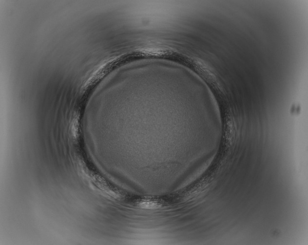 X0000111120596200907211052