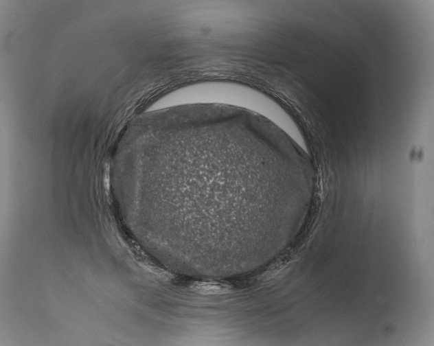 X0000111120597200907211052