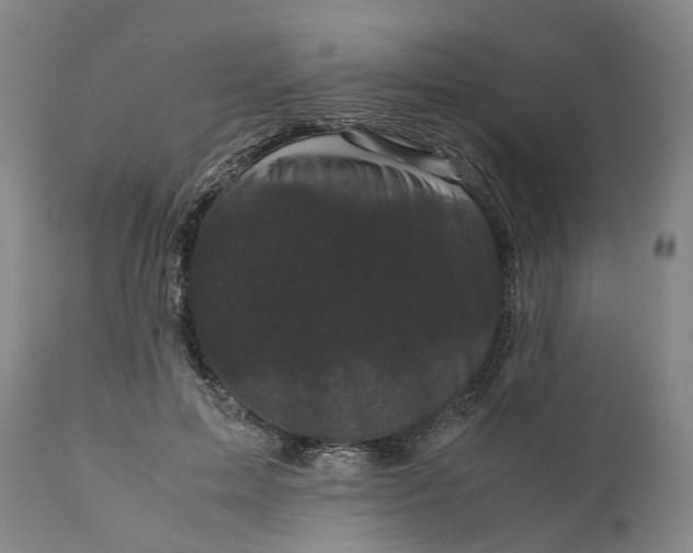 X0000111120599200907211052