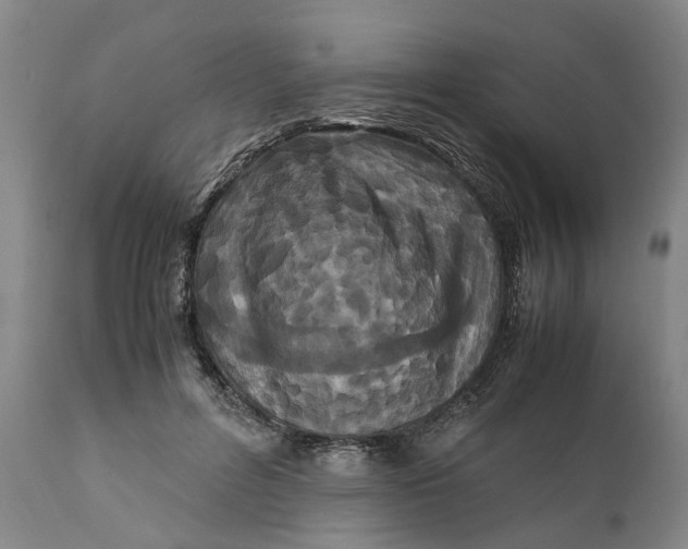 X0000111120600200907211052