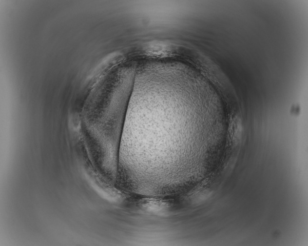 X0000111120601200907211052