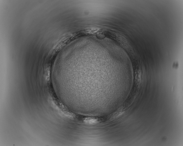 X0000111120602200907211052