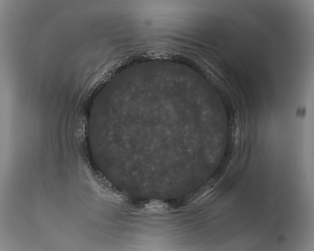X0000111120603200907211052