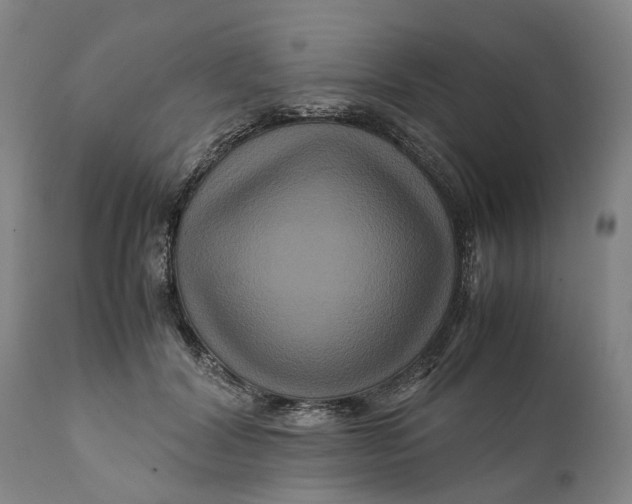 X0000111120604200907211052