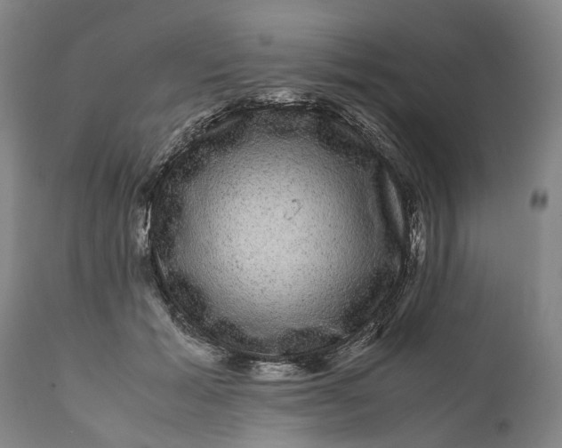 X0000111120605200907211052