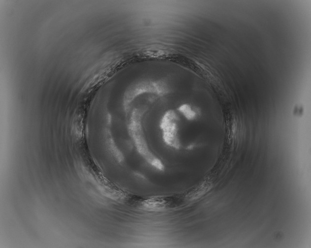 X0000111120606200907211052