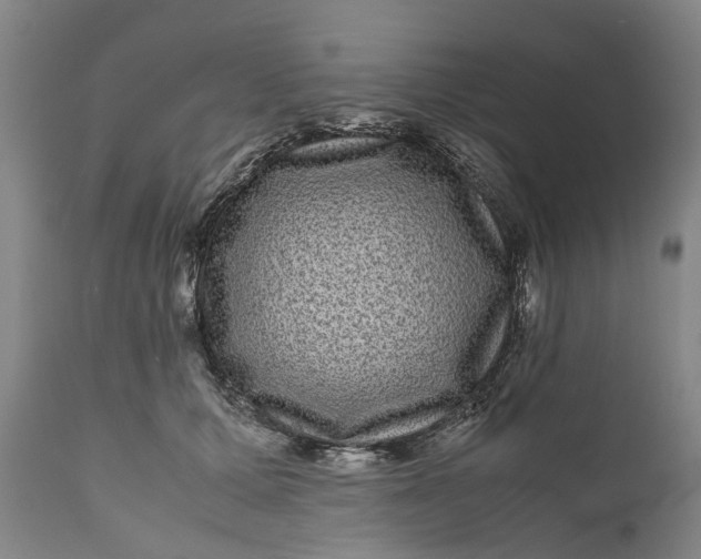 X0000111120607200907211052