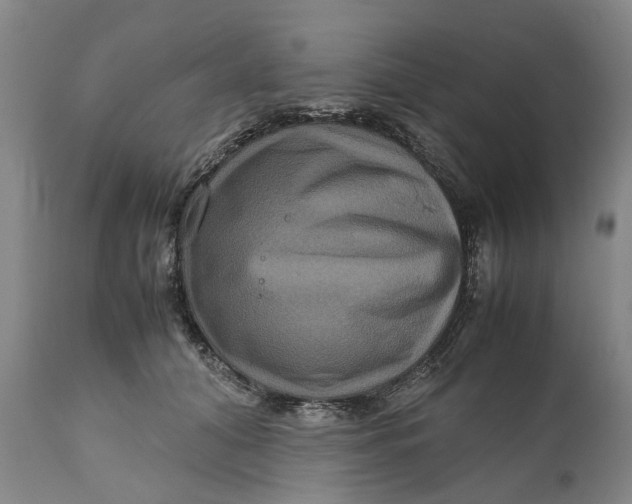 X0000111120608200907211052