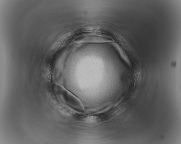 X0000111120609200907211052