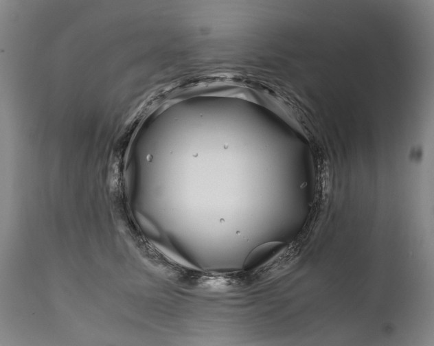 X0000111120611200907211052