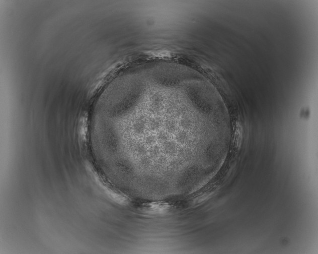 X0000111120612200907211052