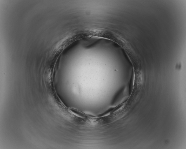 X0000111120613200907211052