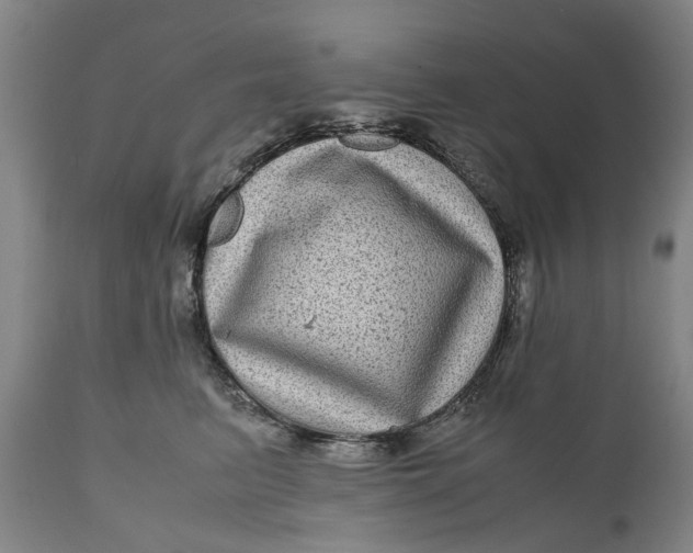 X0000111120615200907211052