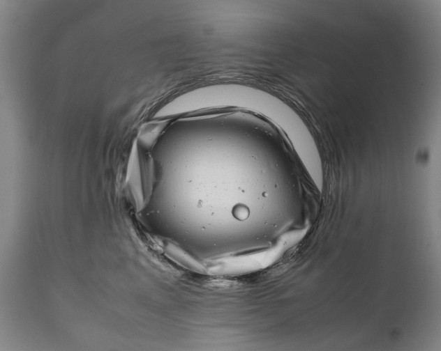 X0000111120617200907211051