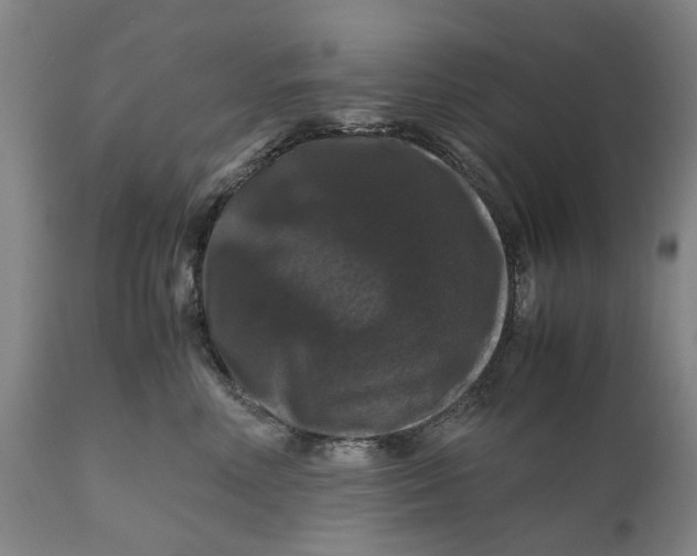 X0000111120618200907211051