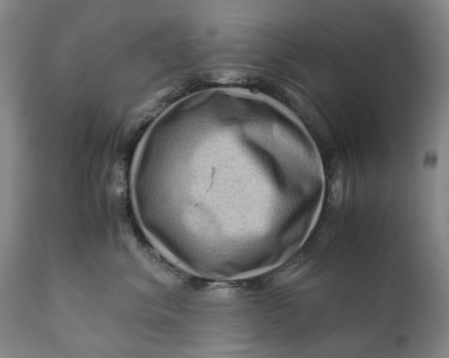 X0000111120620200907211051