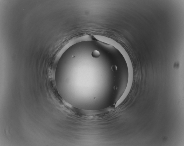 X0000111120621200907211051
