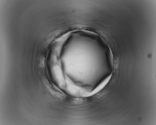 X0000111120623200907211051