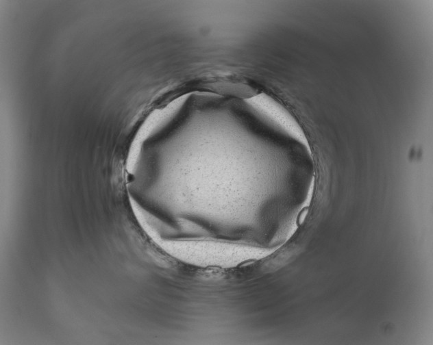 X0000111120624200907211051
