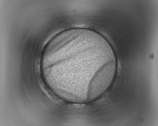 X0000111120626200907211051