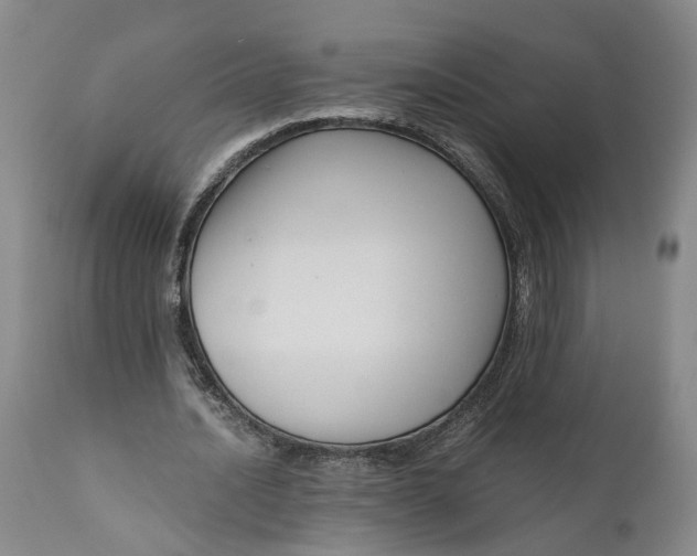 X0000111120628200907211051