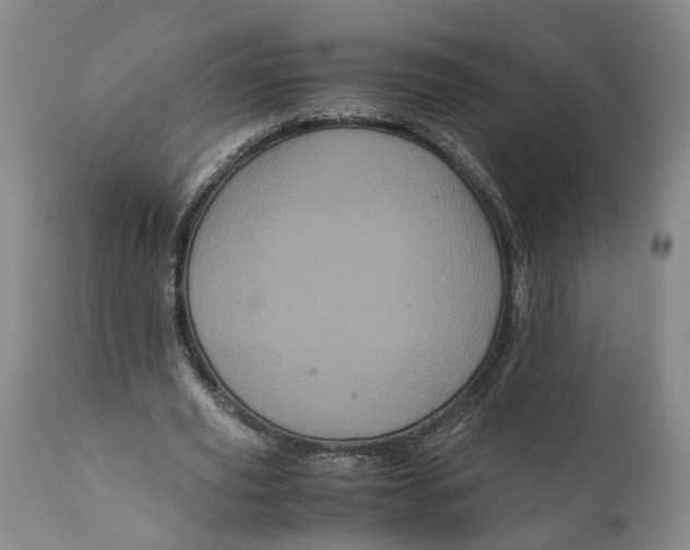 X0000111120629200907211051