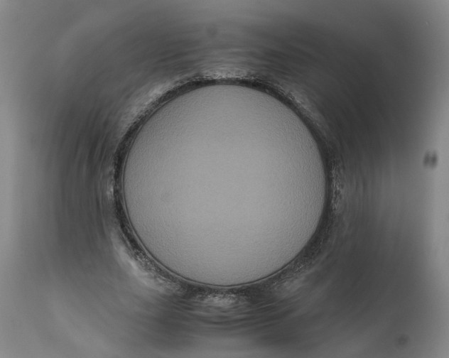 X0000111120631200907211051