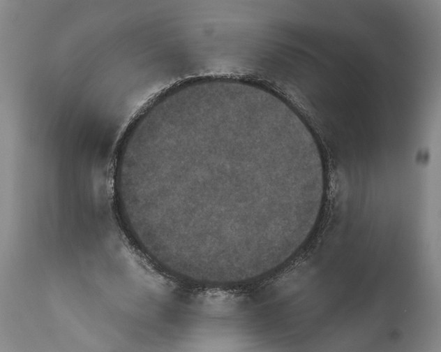 X0000111120632200907211051
