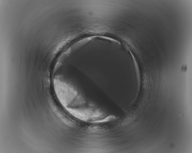 X0000111120634200907211051