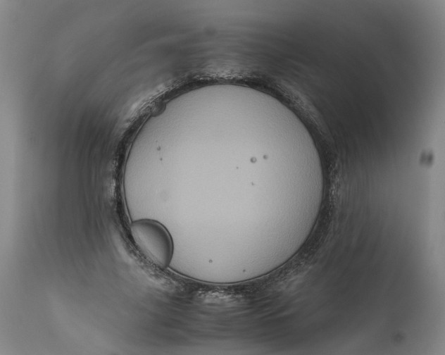 X0000111120635200907211051