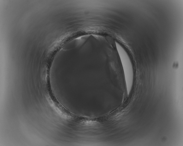 X0000111120637200907211051