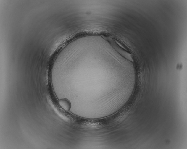 X0000111120638200907211051