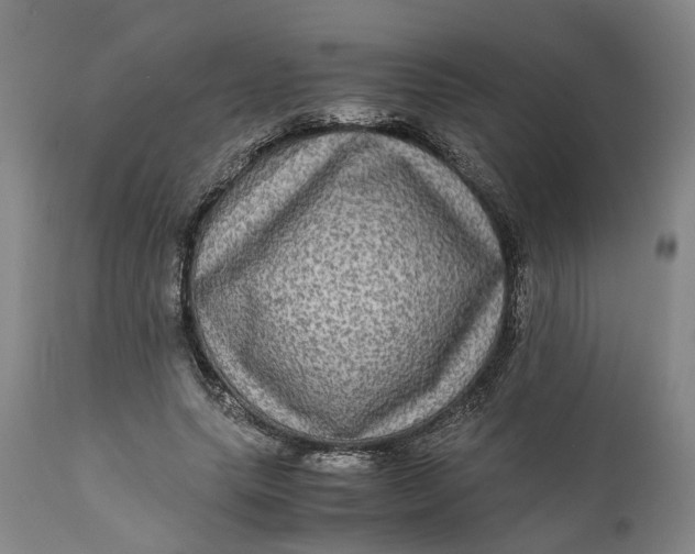 X0000111120639200907211051