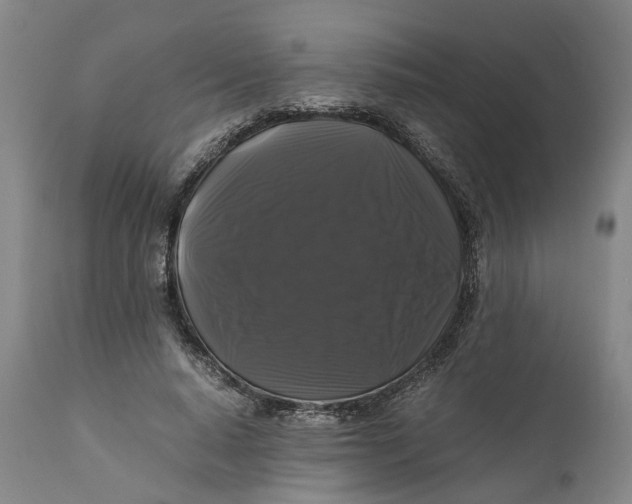 X0000111120640200907211051