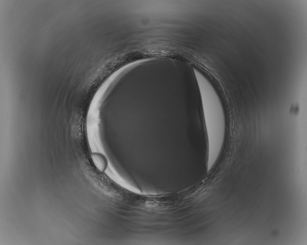 X0000111120641200907211051