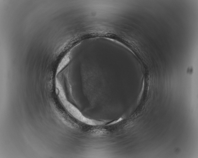 X0000111120642200907211051