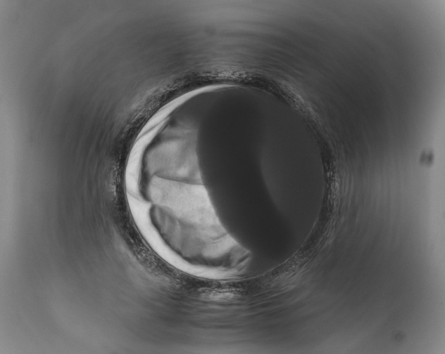 X0000111120643200907211051