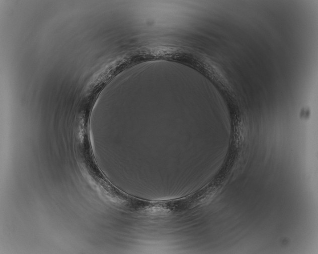 X0000111120644200907211051