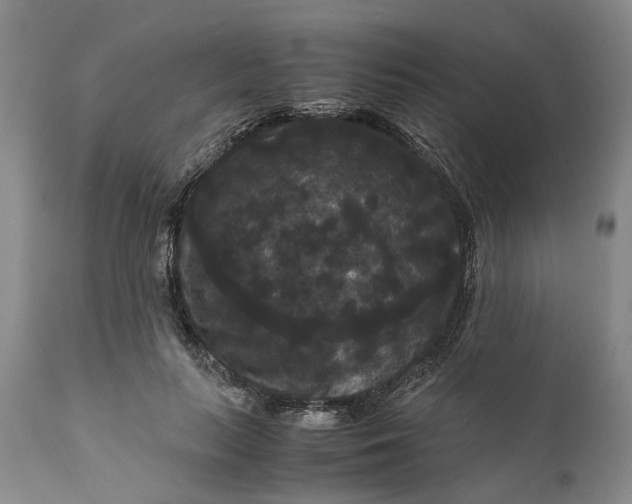 X0000111120647200907211051