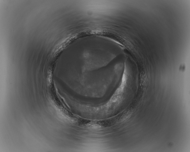 X0000111120648200907211051