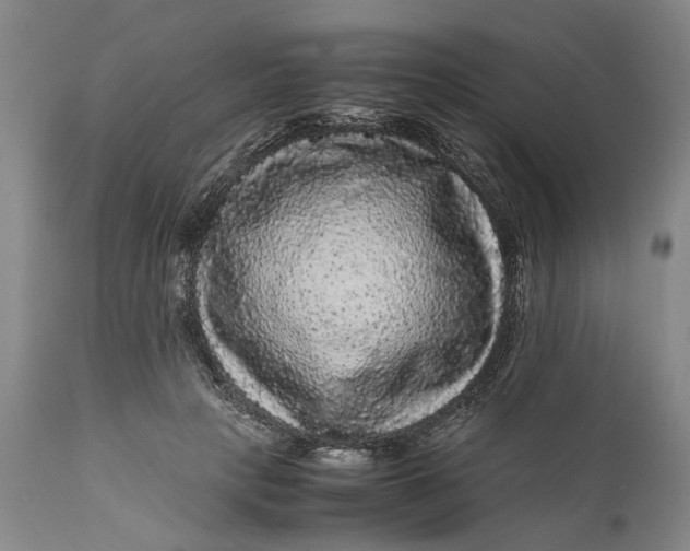X0000111120649200907211051