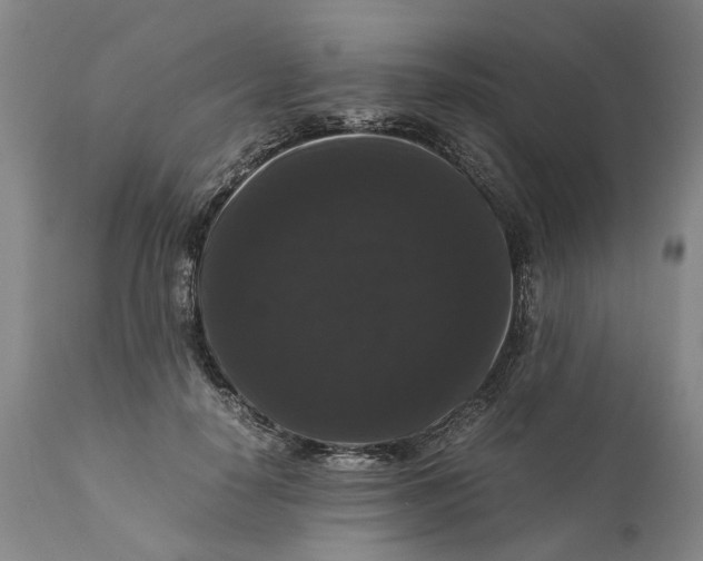 X0000111120650200907211051