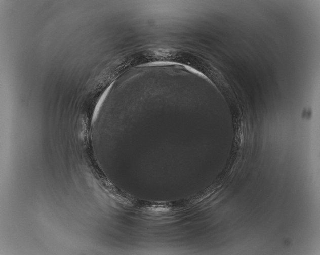 X0000111120651200907211051