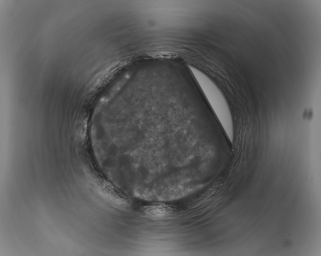 X0000111120652200907211051