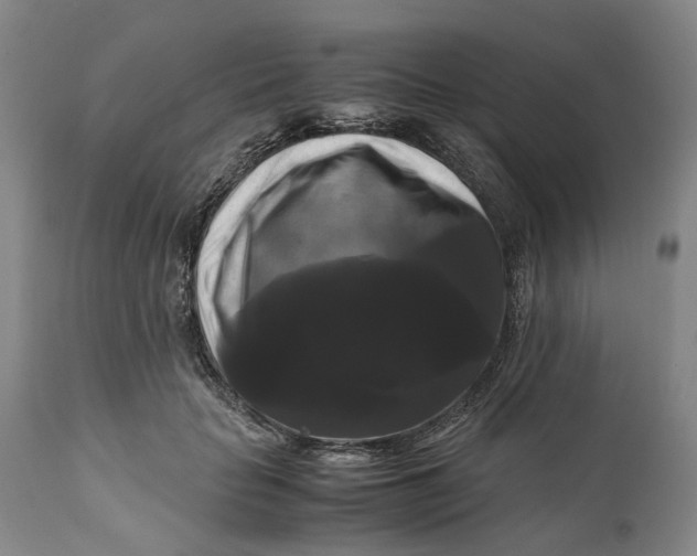 X0000111120653200907211051